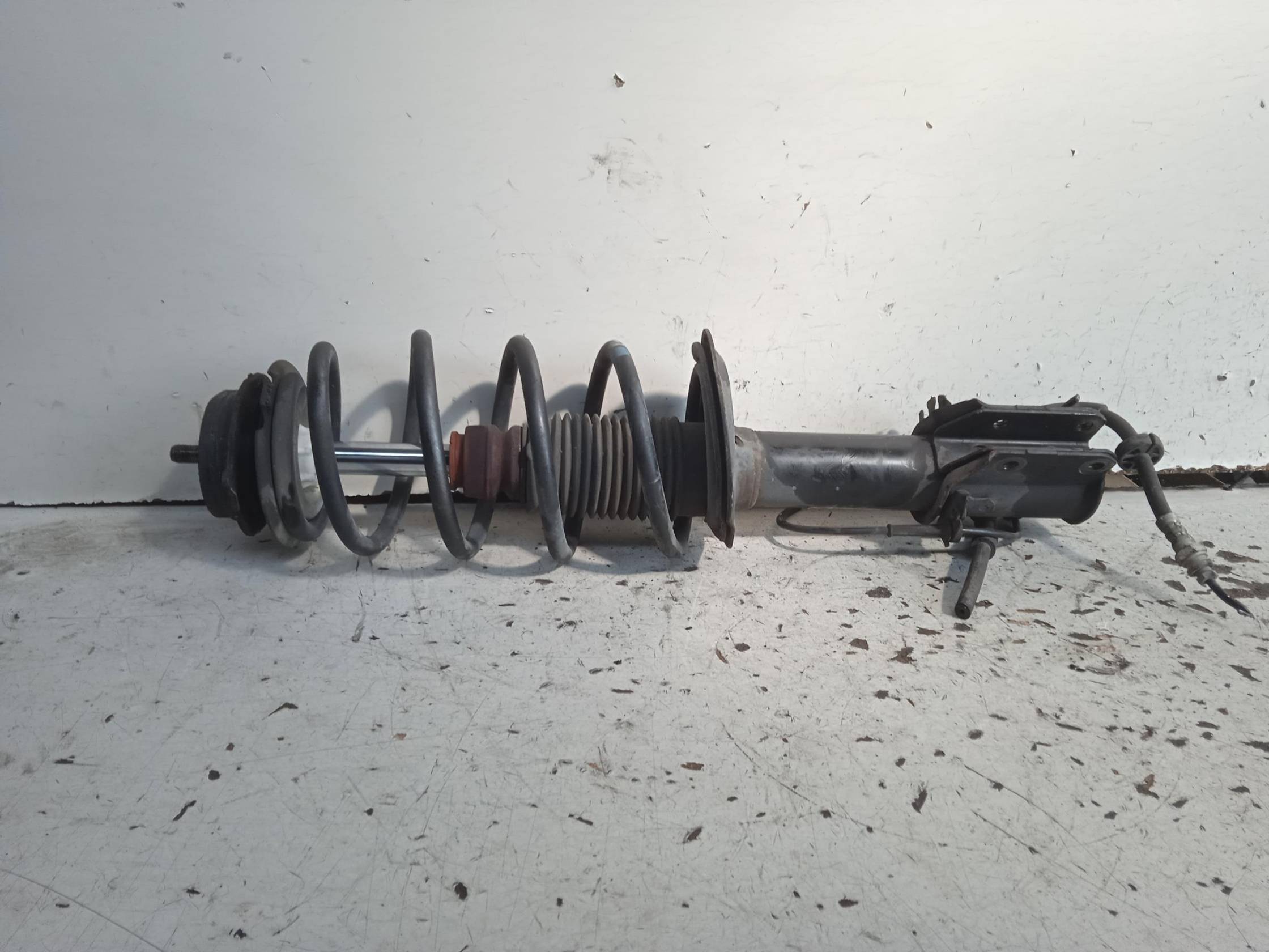 Ammortizzatore ant. sx.